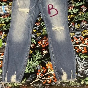 Bundle of Judy Blues